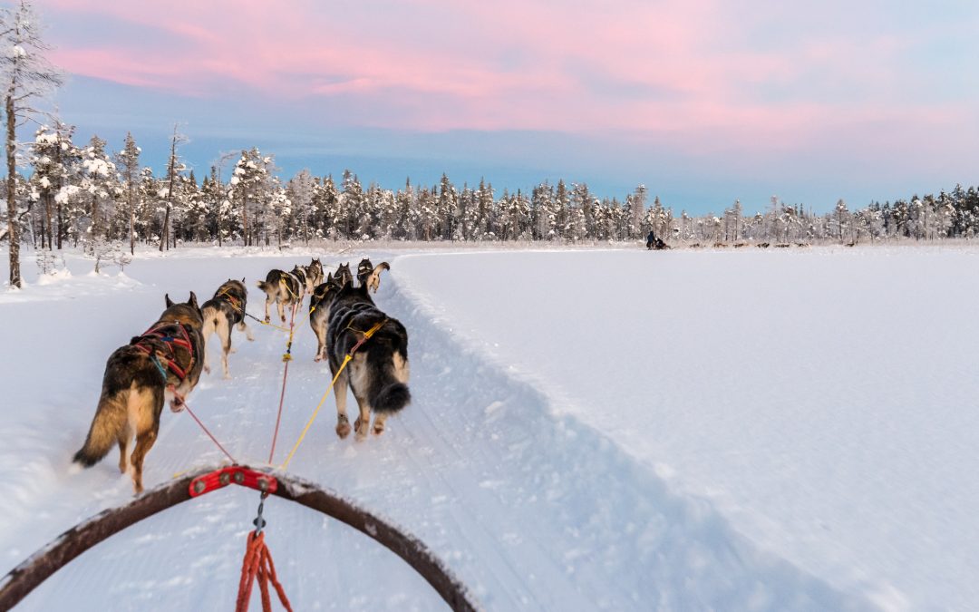 TRA SVEZIA E FINLANDIA: I MILLE LATI DELLA LAPPONIA 5 GIORNI/4 NOTTI – PARTENZE GARANTITE 2025