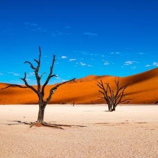 NAMIBIA: UNA TERRA SELVAGGIA 12 GIORNI / 11 NOTTI – PARTENZE GARANTITE 2025