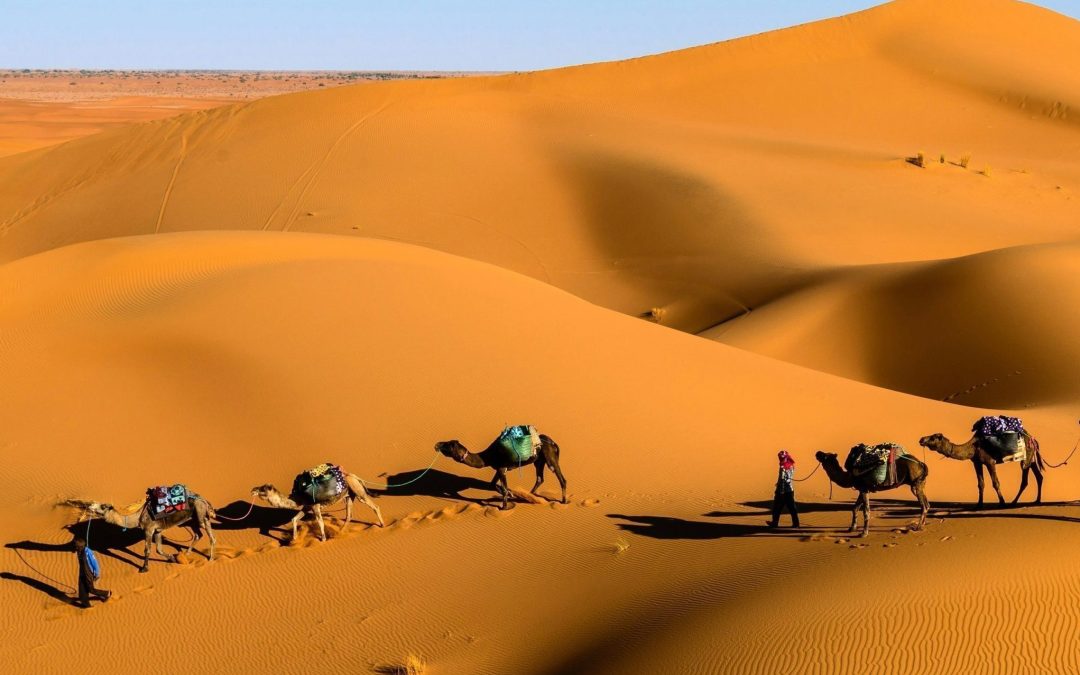 LE KASBAH DEL MAROCCO:  DA MARRAKECH ALLE DUNE DEL SAHARA 6 GIORNI/5 NOTTI – PARTENZE GARANTITE DA MARZO A OTTOBRE 2026