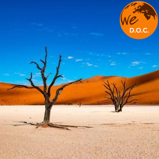 NAMIBIA: FRA PARCHI E DESERTO 16 – 29 SETTEMBRE 2025 – VOLO E ACCOMPAGNATORE TRAVELLER