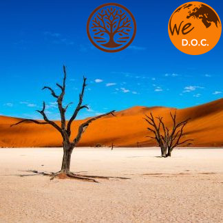 NAMIBIA: FRA PARCHI E DESERTO 16 – 29 SETTEMBRE 2025 – VOLO E ACCOMPAGNATORE TRAVELLER