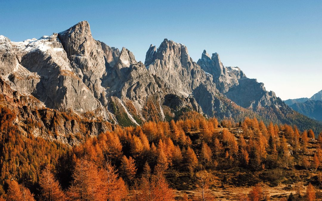 FRA CASTELLI E NATURA IN TRENTINO 4 GIORNI 3 NOTTI – GRUPPI CHIUSI