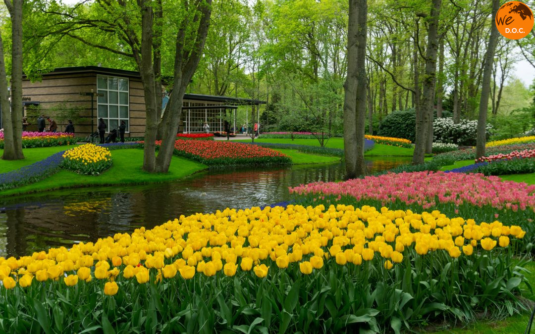 AMSTERDAM E I TULIPANI NEI GIARDINI DI KEUKENHOF DAL 27 AL 30 MARZO 2026 CON ACCOMPAGNATORE TRAVELLER