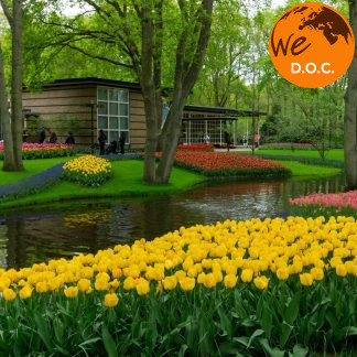 AMSTERDAM E I TULIPANI NEI GIARDINI DI KEUKENHOF DAL 27 AL 30 MARZO 2026 CON ACCOMPAGNATORE TRAVELLER