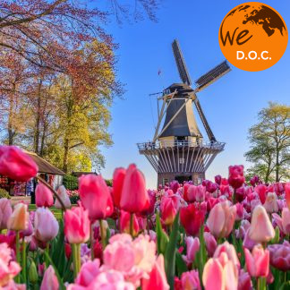 AMSTERDAM E I TULIPANI NEI GIARDINI DI KEUKENHOF DAL 27 AL 30 MARZO 2026 CON ACCOMPAGNATORE TRAVELLER