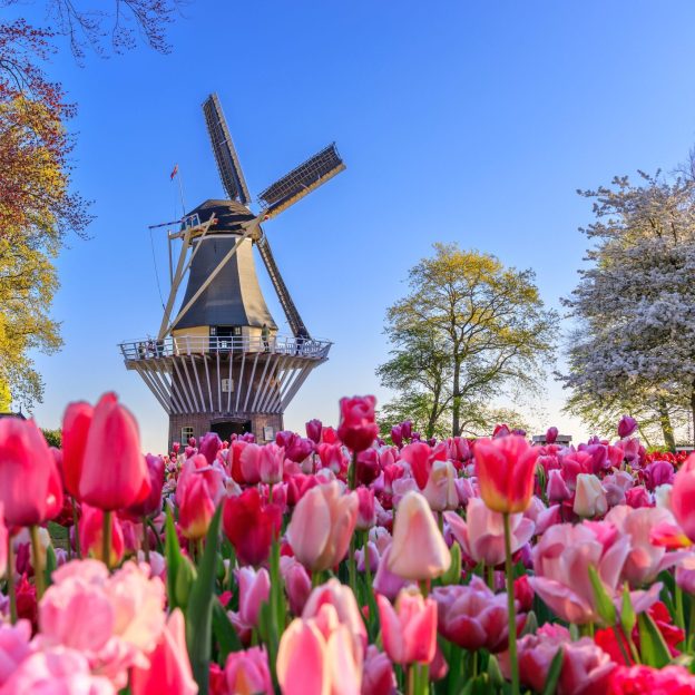 AMSTERDAM E I TULIPANI NEI GIARDINI DI KEUKENHOF DAL 27 AL 30 MARZO 2026 CON ACCOMPAGNATORE TRAVELLER