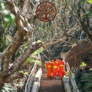 LAOS, VIETNAM E CAMBOGIA: AVVENTURA IN INDOCINA 14 GIORNI/13 NOTTI – PARTENZE GARANTITE DA FEBBRAIO A OTTOBRE 2026