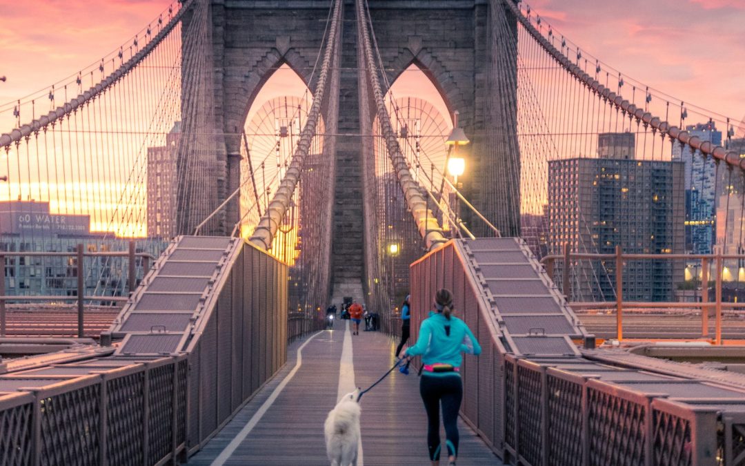 NEW YORK CLASSICA – 6 GIORNI/5 NOTTI – PARTENZE GARANTITE DA MARZO A DICEMBRE 2026