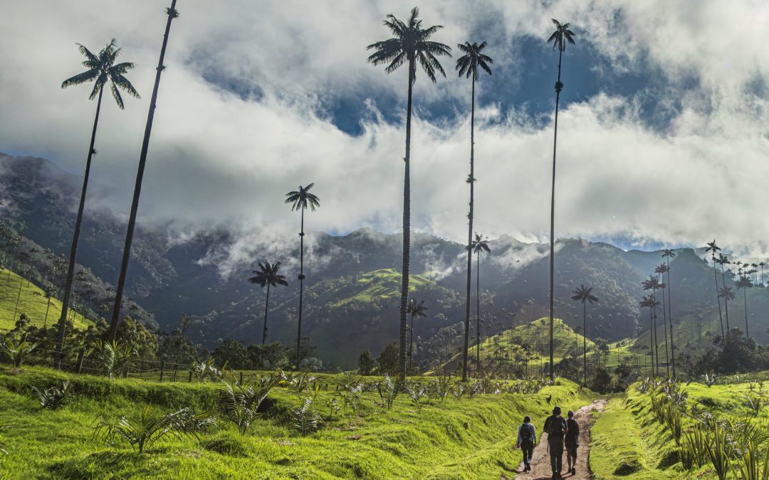 COLOMBIA AUTENTICA: DA BOGOTÀ A CARTAGENA, TRA PAESAGGI ANDINI,  CULTURA DEL CAFFÈ E LUCE CARAIBICA – 10 GIORNI / 9 NOTTI – PARTENZE GARANTITE DA MAGGIO A DICEMBRE 2026