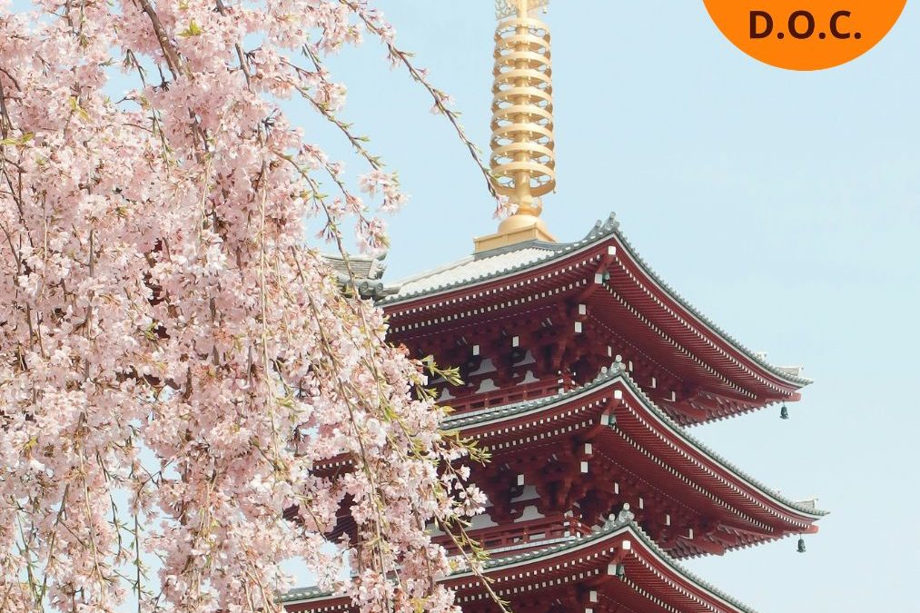 MERAVIGLIOSO GIAPPONE: SULLE ORME DEI SAMURAI DALL’8 AL 18 MARZO 2027 CON ACCOMPAGNATORE TRAVELLER