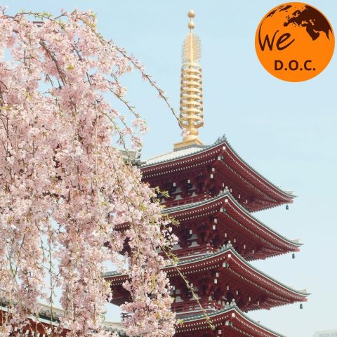 MERAVIGLIOSO GIAPPONE: SULLE ORME DEI SAMURAI DALL’8 AL 18 MARZO 2027 CON ACCOMPAGNATORE TRAVELLER